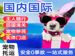 忻州五台山航空快运国际宠物托运 【国